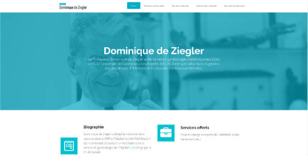 deziegler.com screenshot